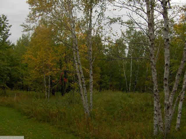 11557 Grindstone Lake Road Sandstone, MN 55072 - Photo 12 of 14 Gallery Image 12