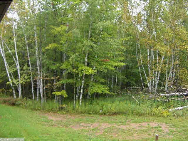 11557 Grindstone Lake Road Sandstone, MN 55072 - Photo 13 of 14 Gallery Image 13