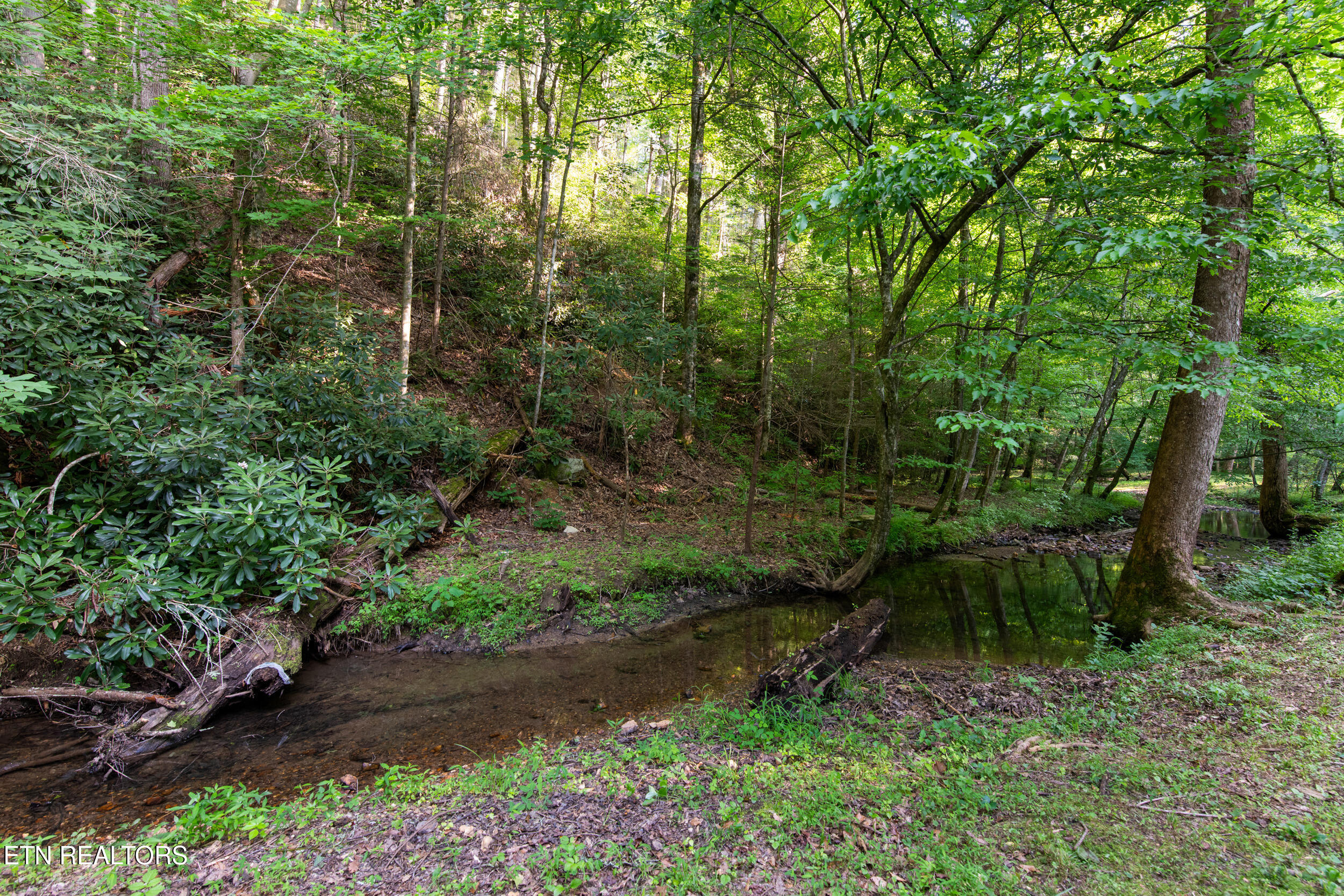 610 Towee Falls Road Tellico Plains, TN 37385 - Photo 57 of 60 610 towee falls rd-76