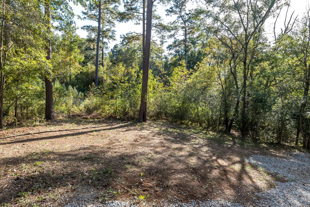 4810 Toney Drive Columbus, GA 31903 - Photo 17 of 17 a view of a forest filled with trees