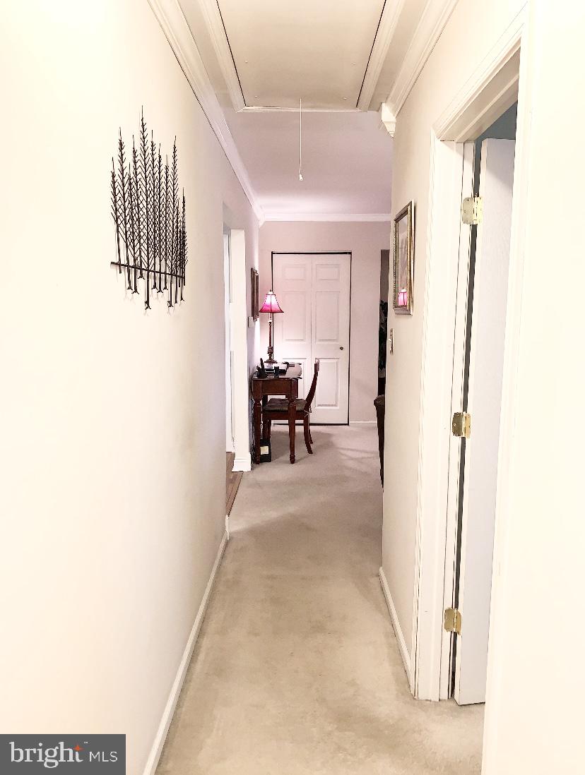 4 Forge Road Medford, NJ 08055 - Photo 15 of 17 hallway