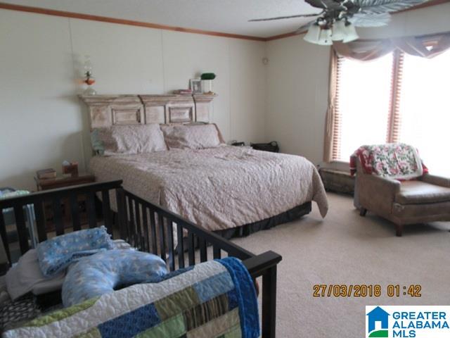455 Francis Mill Road Ohatchee, AL 36271 - Photo 17 of 49