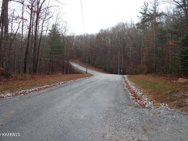 Lot 57 Emory Heights Road Lancing, TN 37770 - Photo 4 of 13 20221118183730115487000000-o