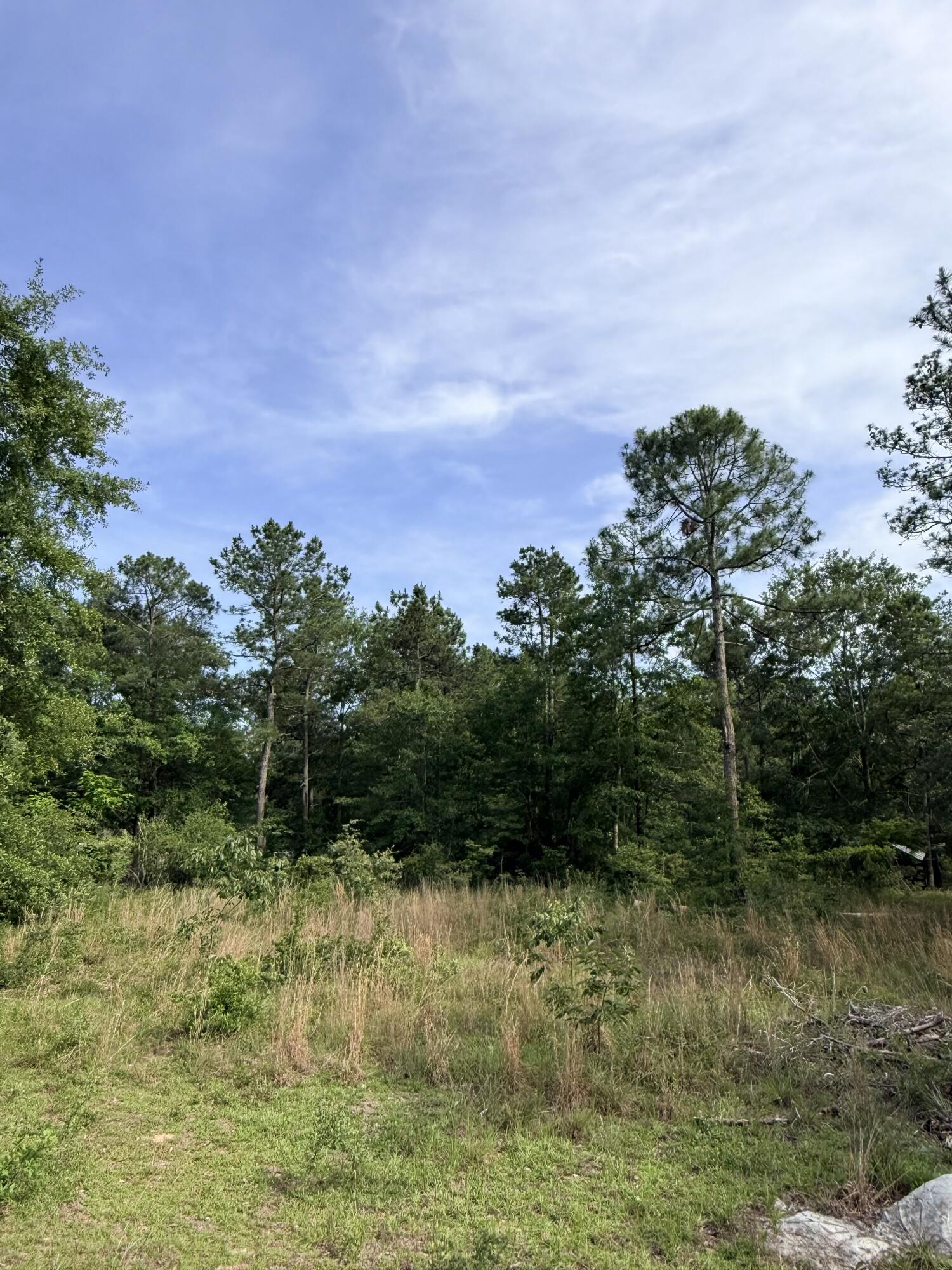 125 Jacob McKie Road, Unit 125 Trenton, SC 29847 - Photo 9 of 22