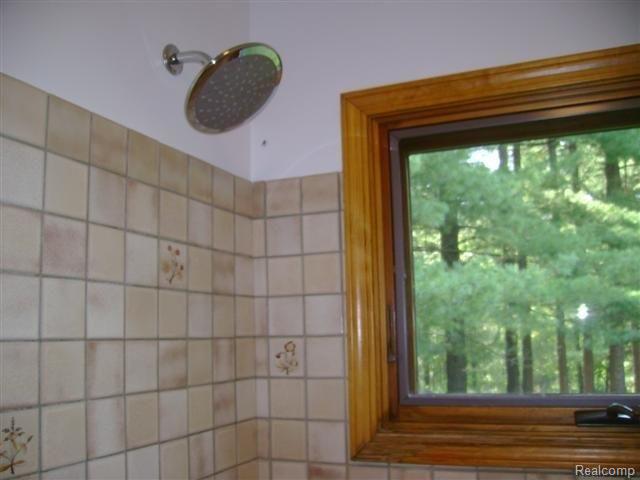 7374 Bentley Lake Road Pinckney, MI 48169 - Photo 13 of 24 Ceramic main bth