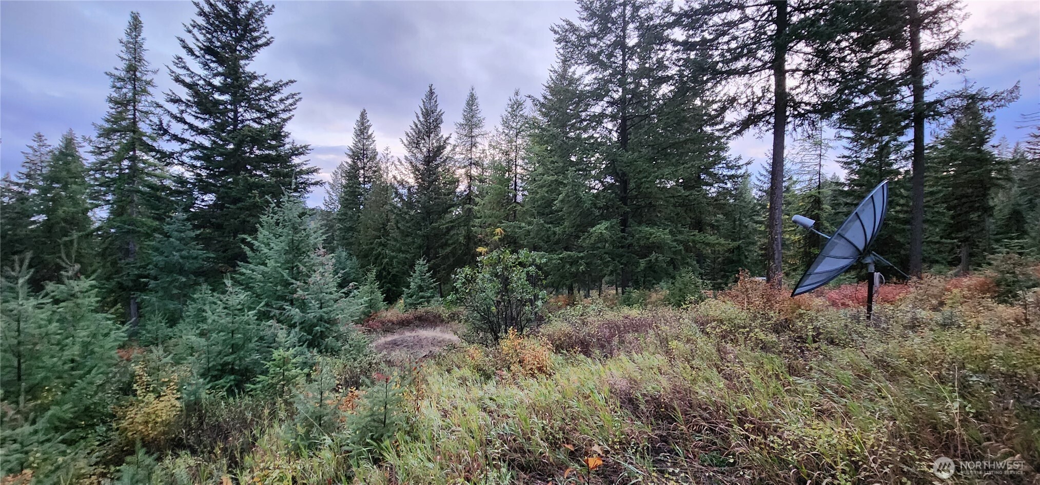 2518 Bodie Mountain Road Colville, WA 99114 - Photo 27 of 40