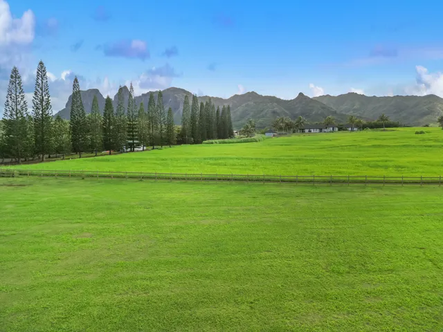 a view of a town with big trees
