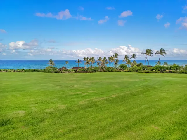 a view of a big yard with large trees