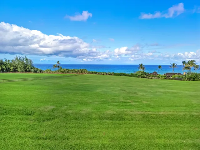 a view of a golf course with an ocean