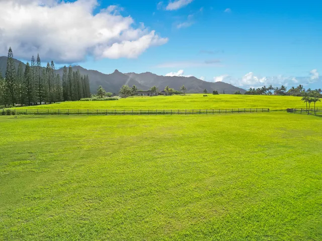 a view of a ocean with big yard and large trees