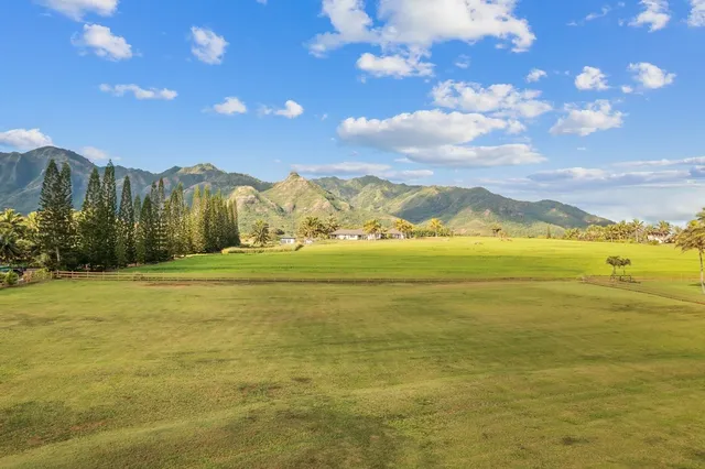 a view of an ocean and lots of trees