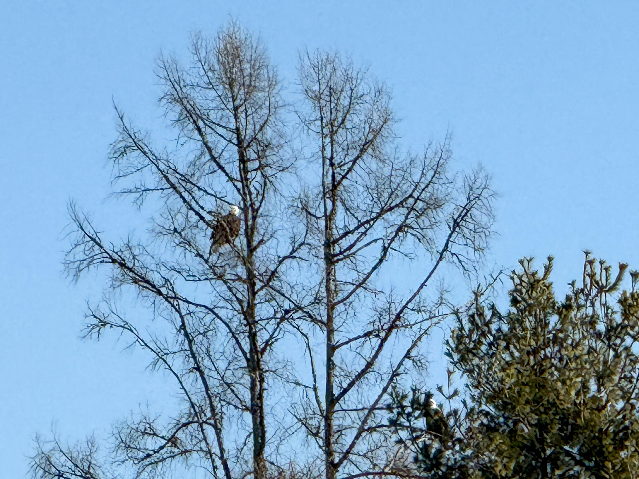 1000 Grindstone Road Medway, ME 04460 - Photo 18 of 20 7