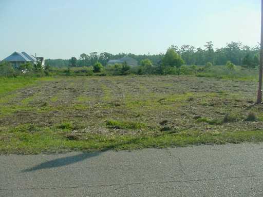 17016 Peace Point Drive Springfield, LA 70462 - Photo 3 of 3 Gallery Image 3