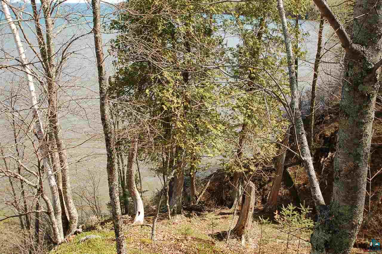 Xx Mountain Ash Road Herbster, WI 54844 - Photo 12 of 23 Gallery Image 12