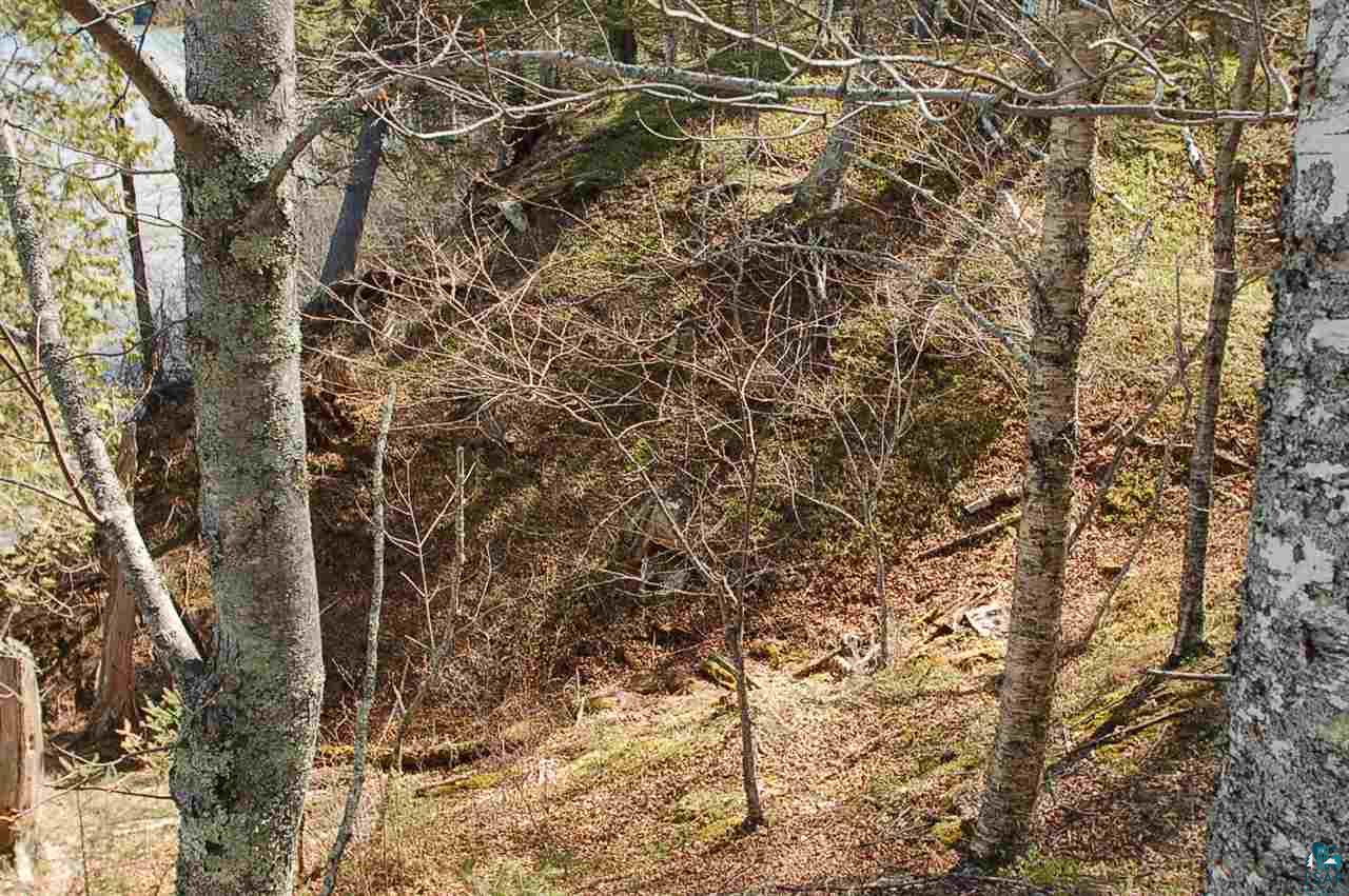 Xx Mountain Ash Road Herbster, WI 54844 - Photo 13 of 23 Gallery Image 13