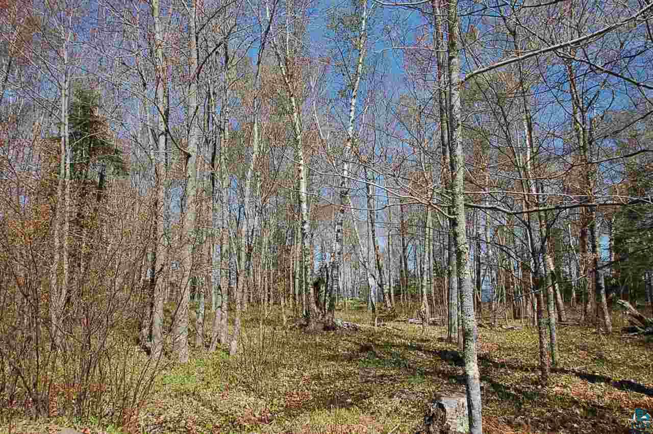 Xx Mountain Ash Road Herbster, WI 54844 - Photo 2 of 23 Gallery Image 2