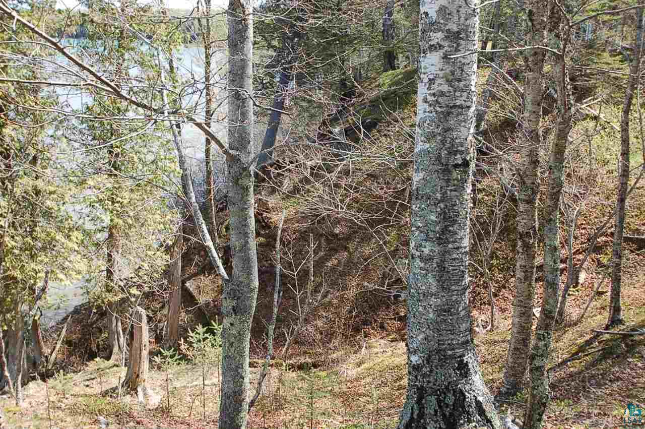 Xx Mountain Ash Road Herbster, WI 54844 - Photo 21 of 23 Gallery Image 21