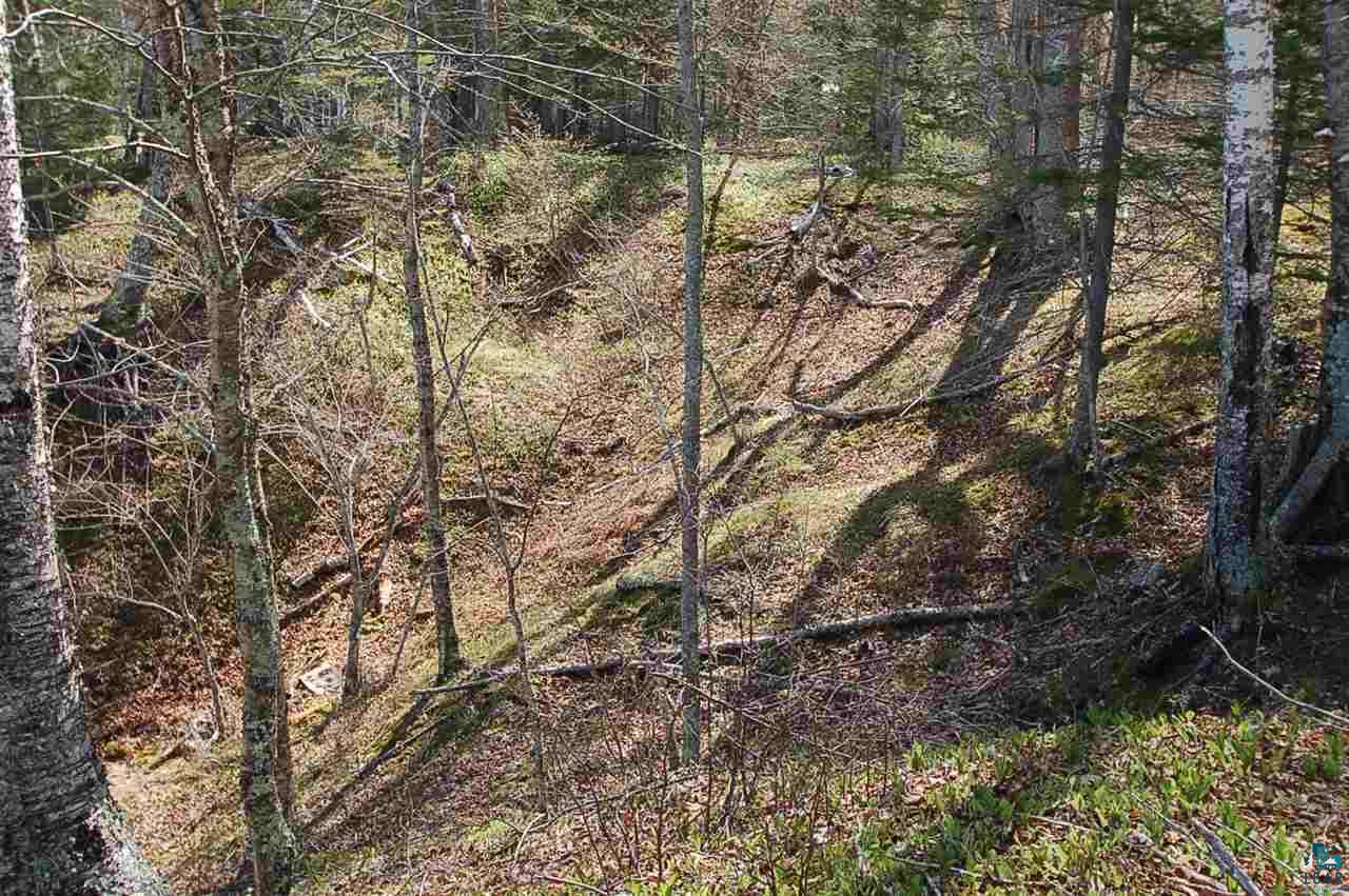 Xx Mountain Ash Road Herbster, WI 54844 - Photo 22 of 23 Gallery Image 22