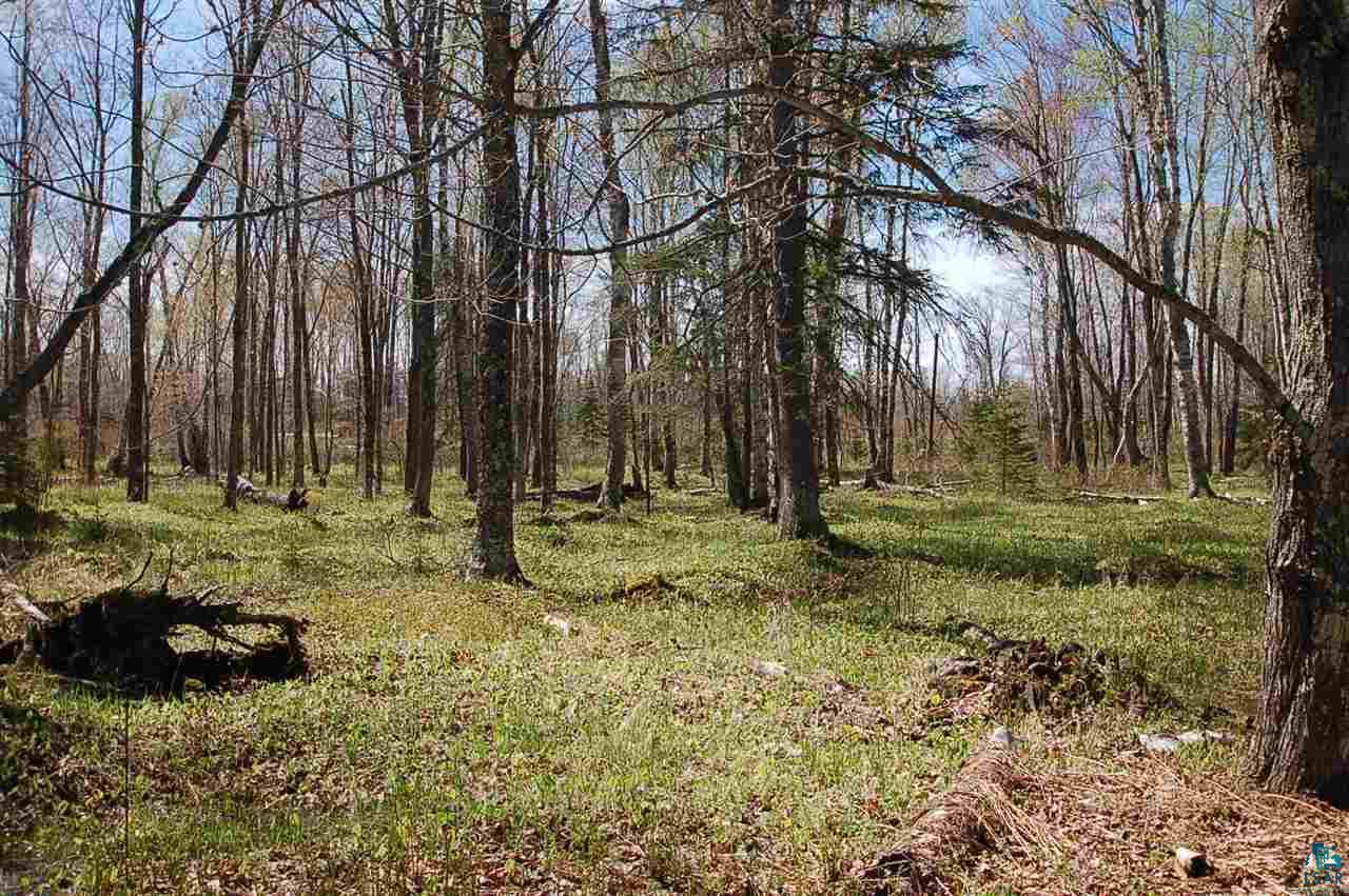 Xx Mountain Ash Road Herbster, WI 54844 - Photo 23 of 23 Gallery Image 23
