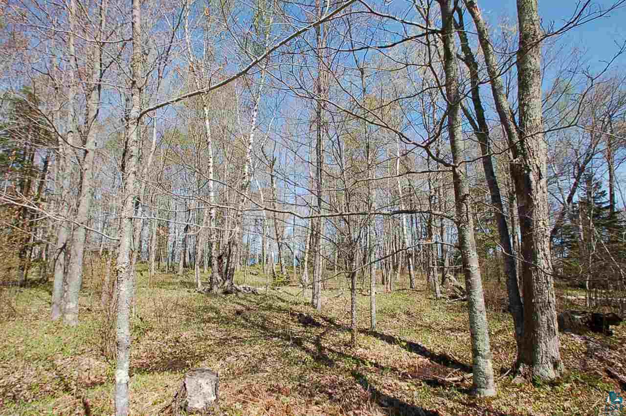 Xx Mountain Ash Road Herbster, WI 54844 - Photo 3 of 23 Gallery Image 3