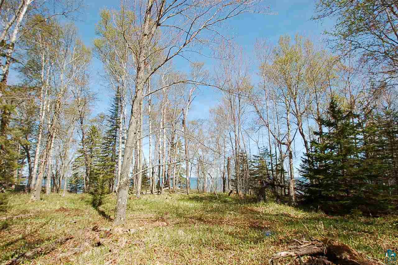 Xx Mountain Ash Road Herbster, WI 54844 - Photo 4 of 23 Gallery Image 4