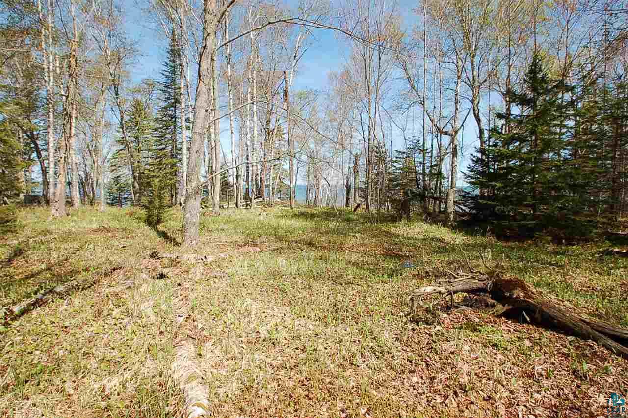 Xx Mountain Ash Road Herbster, WI 54844 - Photo 5 of 23 Gallery Image 5