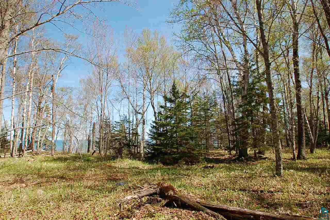 Xx Mountain Ash Road Herbster, WI 54844 - Photo 6 of 23 Gallery Image 6
