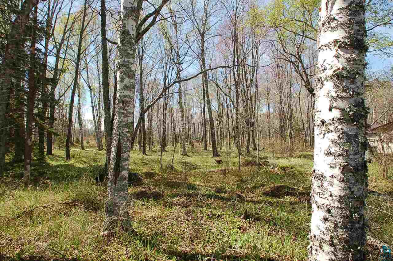 Xx Mountain Ash Road Herbster, WI 54844 - Photo 7 of 23 Gallery Image 7