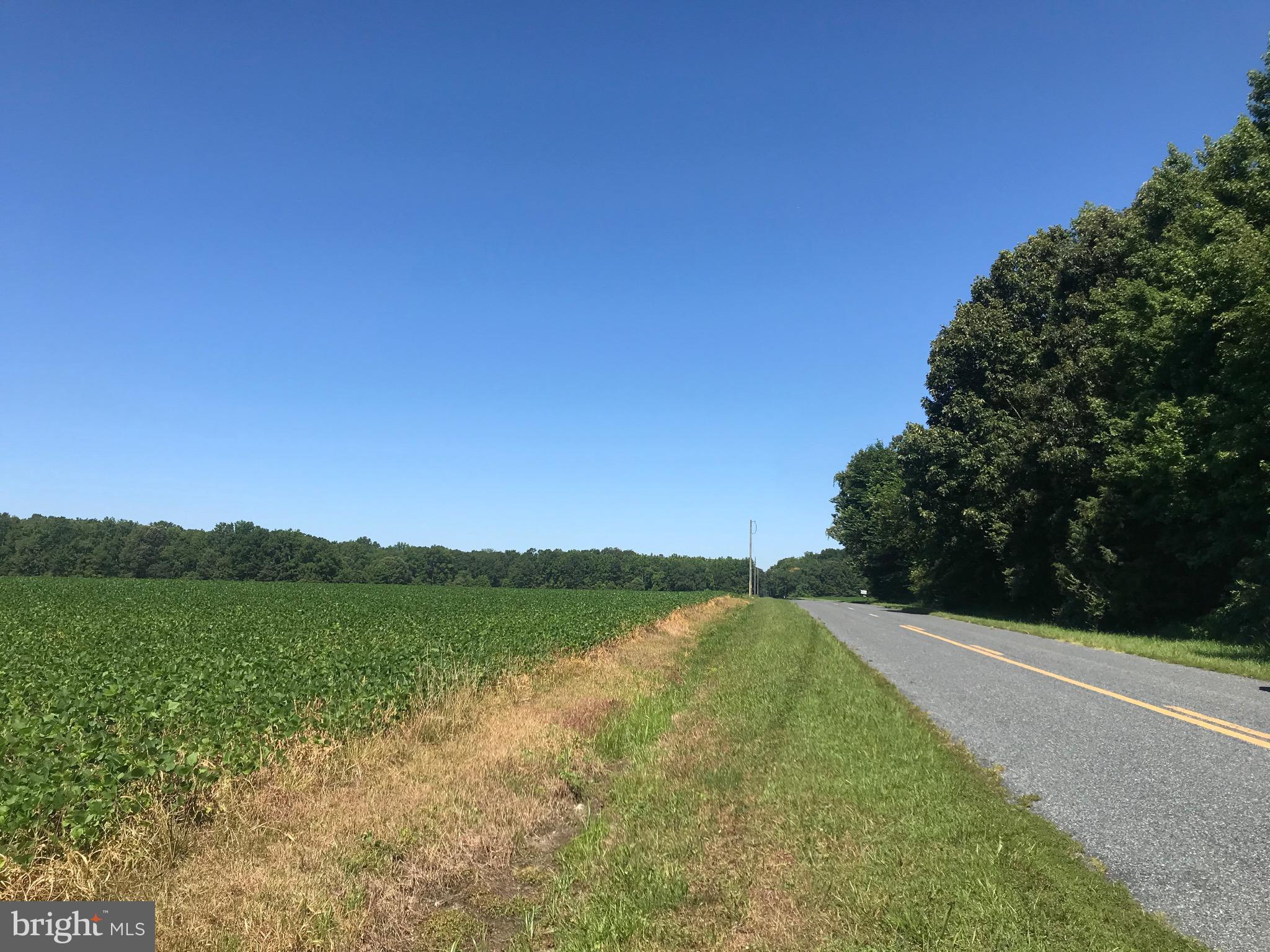 605 Woods Road Chestertown, MD 21620 - Photo 6 of 6 Street View