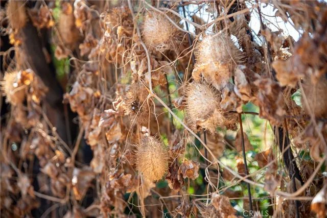 $680,000 | 3371 Fair Oaks Avenue, Altadena, CA 91001