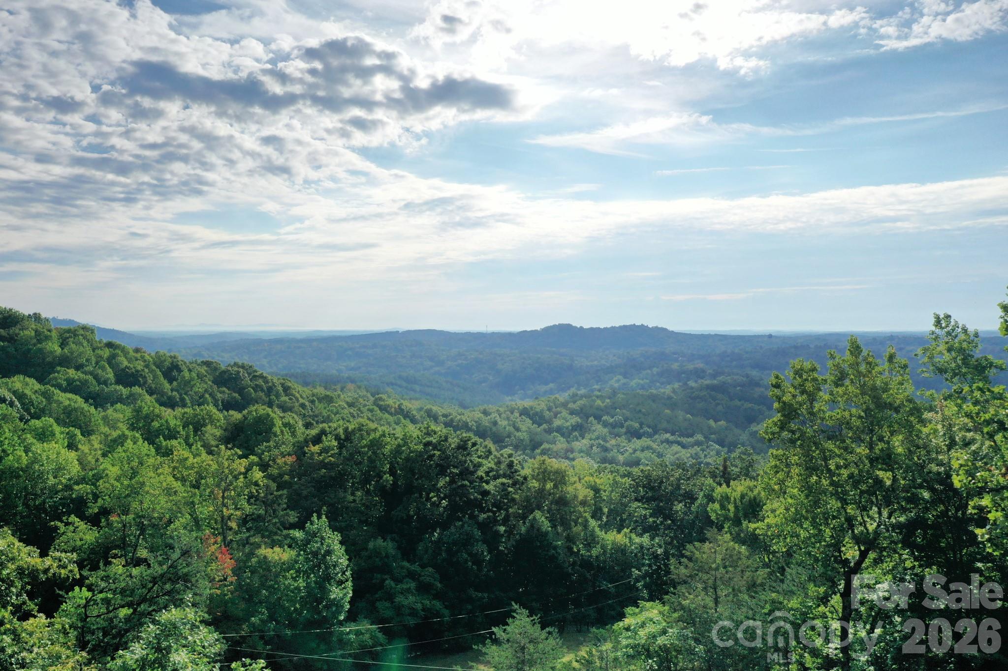 0 Celestial Way Mill Spring, NC 28756 - Photo 3 of 14 Gallery Image 3