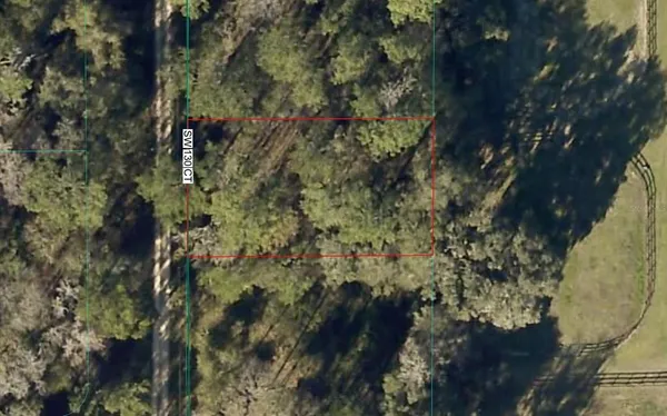 $13,999 | Tbd Southwest 130th Court, Ocala, FL 34481