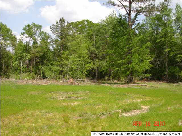 0 Pecan Orchard Road Liberty, MS 39645 - Photo 1 of 9