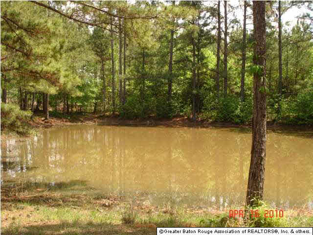 0 Pecan Orchard Road Liberty, MS 39645 - Photo 2 of 9