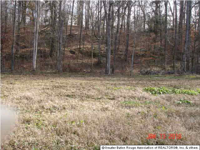 0 Pecan Orchard Road Liberty, MS 39645 - Photo 3 of 9
