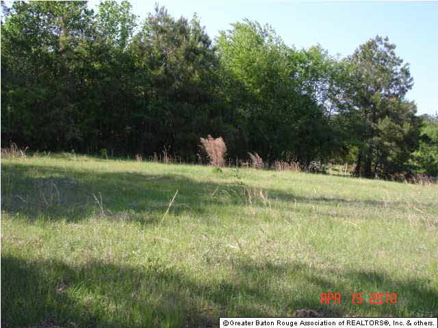 0 Pecan Orchard Road Liberty, MS 39645 - Photo 4 of 9