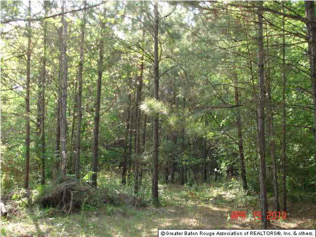 0 Pecan Orchard Road Liberty, MS 39645 - Photo 6 of 9
