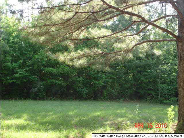 0 Pecan Orchard Road Liberty, MS 39645 - Photo 7 of 9