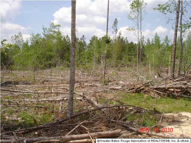 0 Pecan Orchard Road Liberty, MS 39645 - Photo 8 of 9