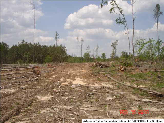 0 Pecan Orchard Road Liberty, MS 39645 - Photo 9 of 9
