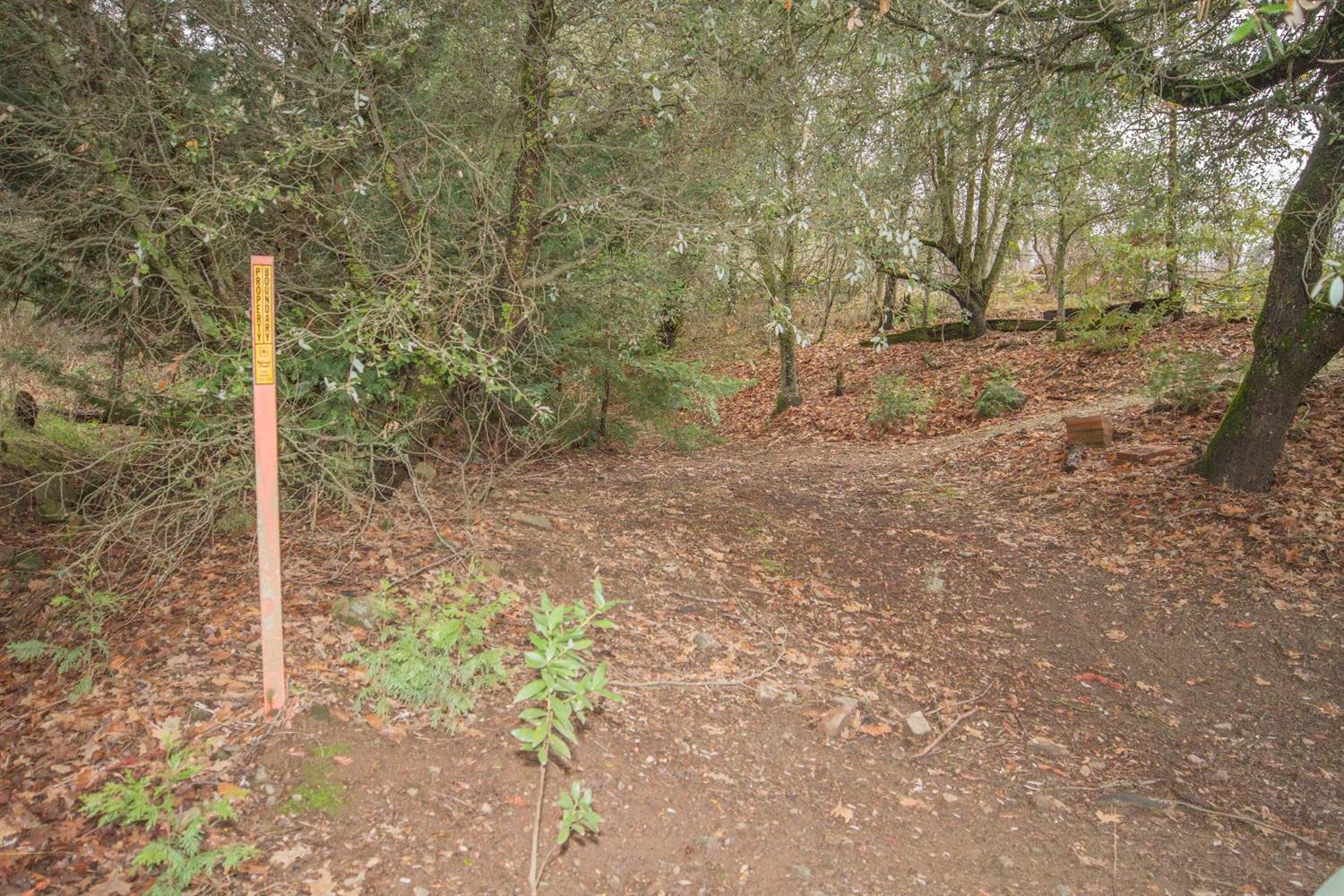 48568 Todd Eymann Road Miramonte, CA 93641 - Photo 41 of 41 Gallery Image 41