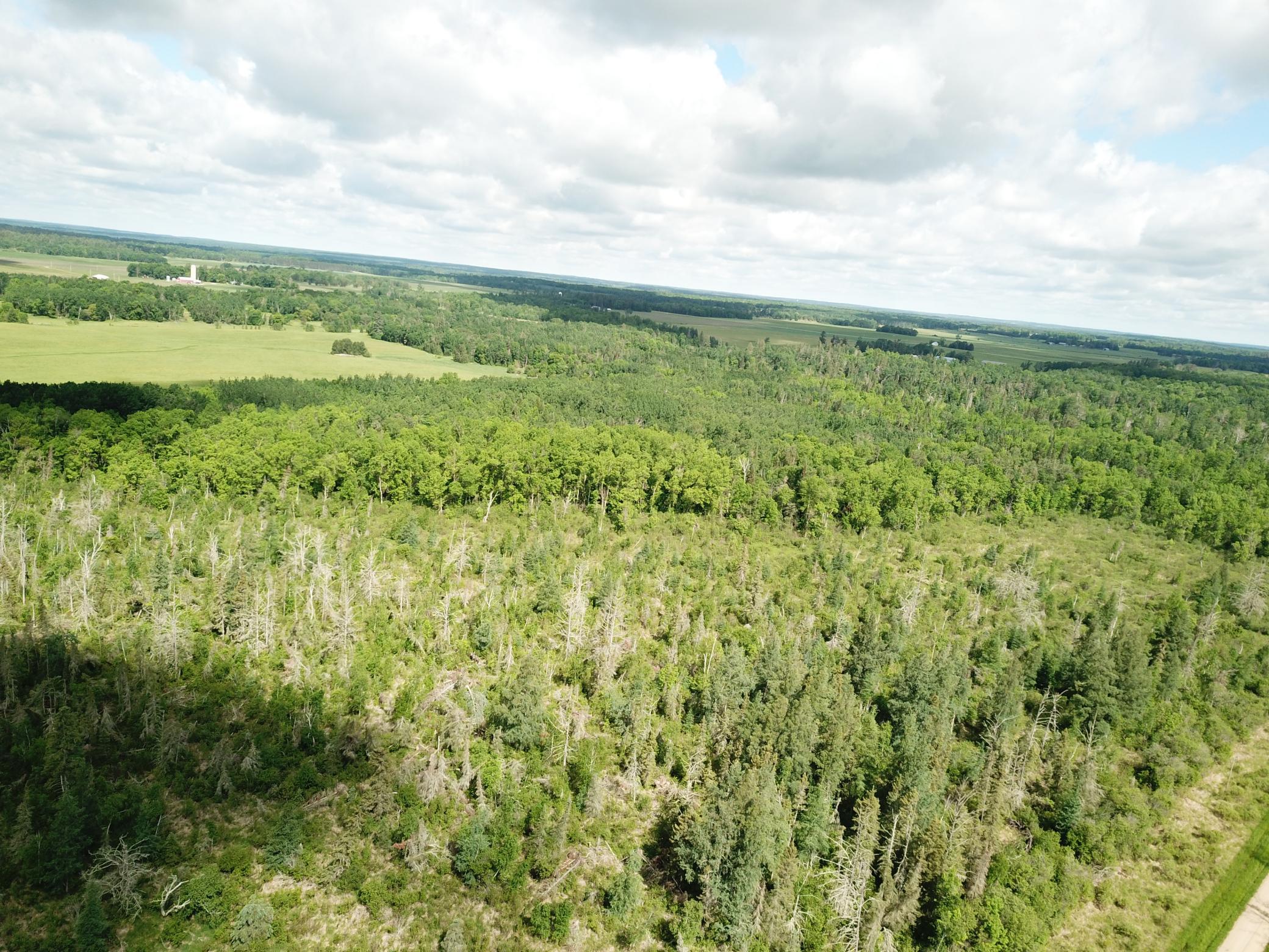 Tbd1 Mud Lake Road Bagley, MN 56621 - Photo 8 of 31