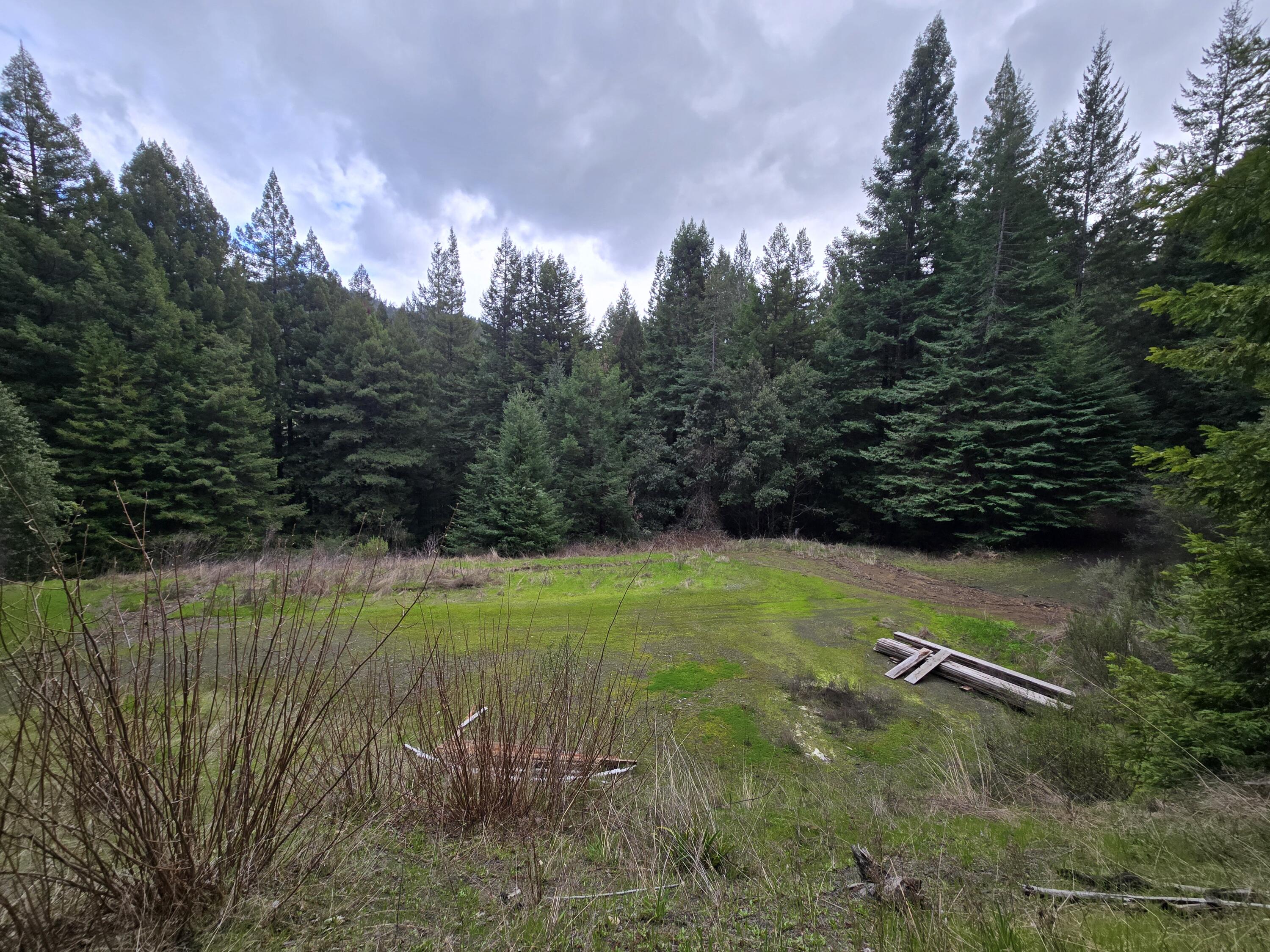 0 Sequoia Road Myers Flat, CA 95554 - Photo 24 of 36