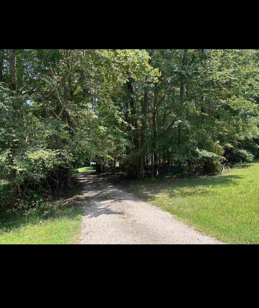 220 Wayne Elam Road Ramer, TN 38367 - Photo 23 of 29 Gallery Image 23
