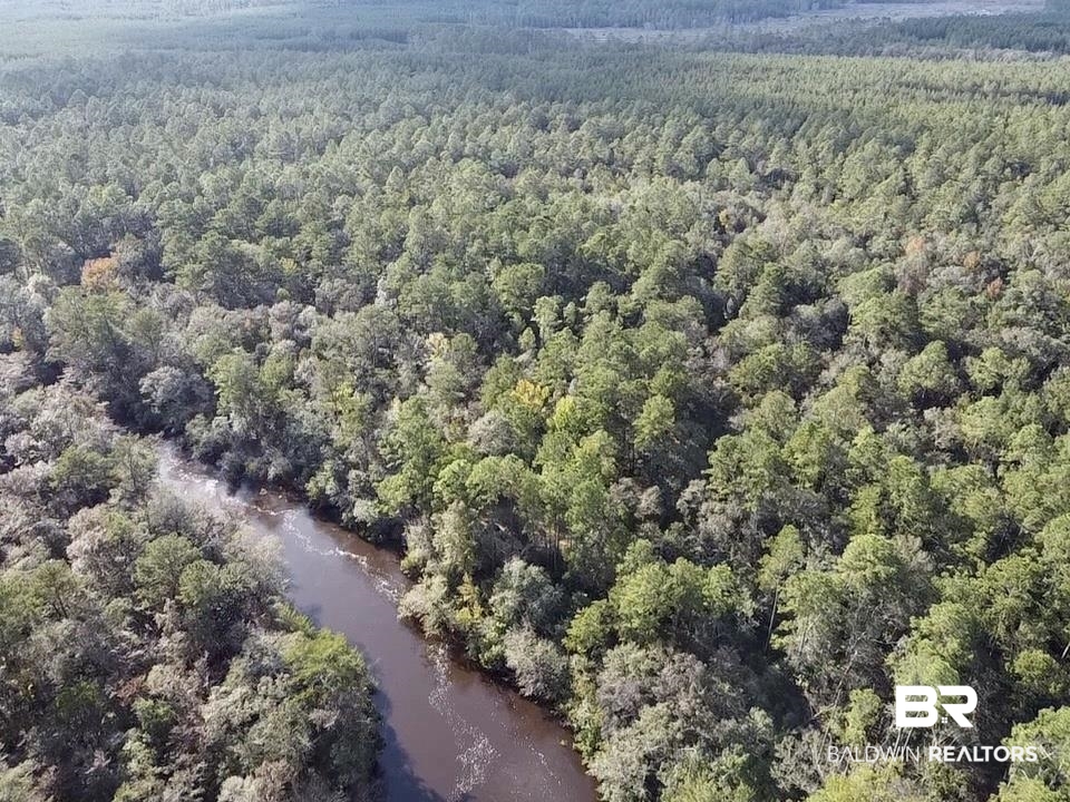 0 Country Road Vinegar Bend, AL 36584 - Photo 11 of 46