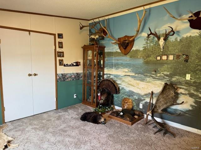 837 Pokey Road Pocahontas, IL 62275 - Photo 28 of 44 Gallery Image 28