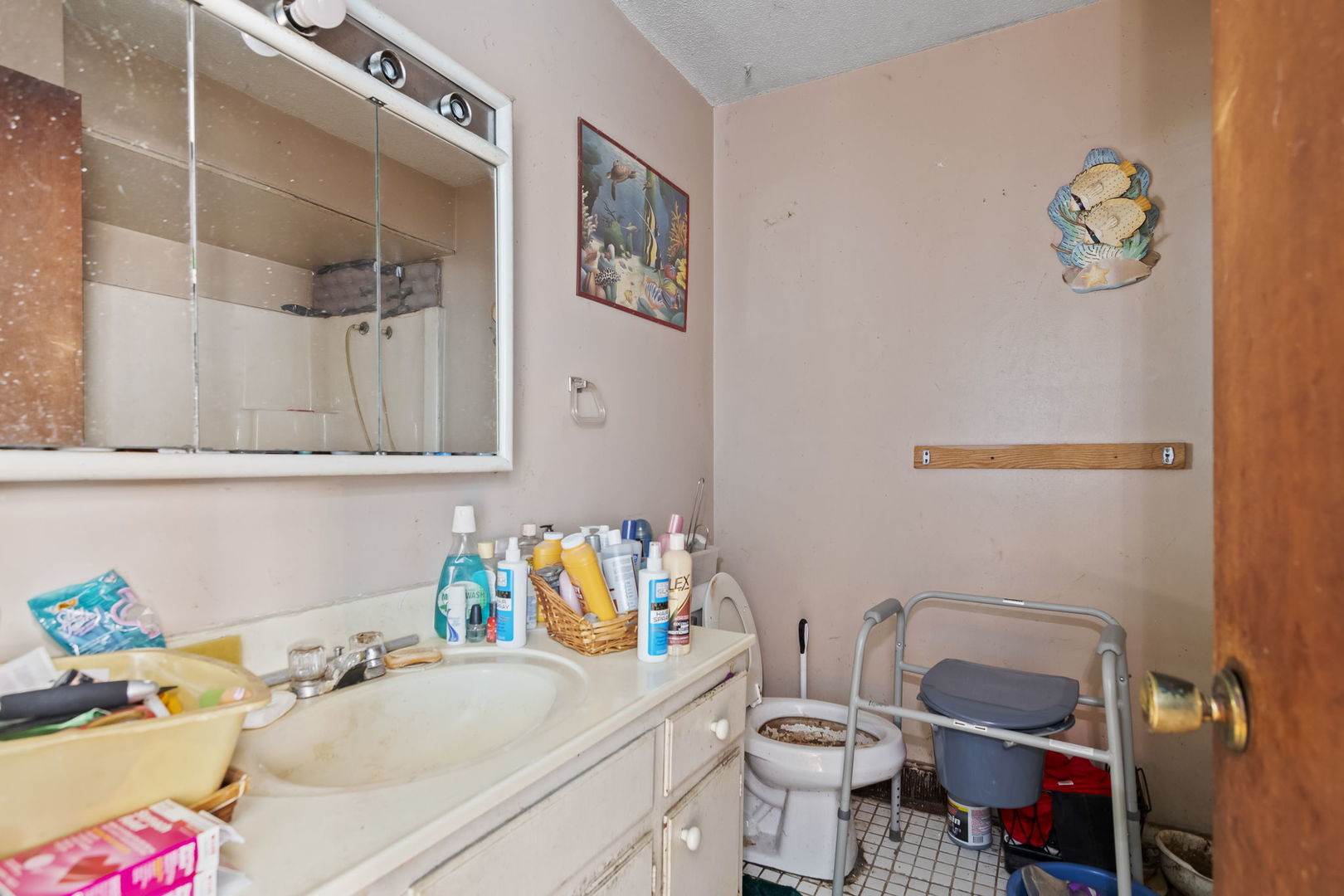 2837 South 13th Street Springfield, IL 62703 - Photo 11 of 14 a bathroom with a sink mirror vanity and toilet