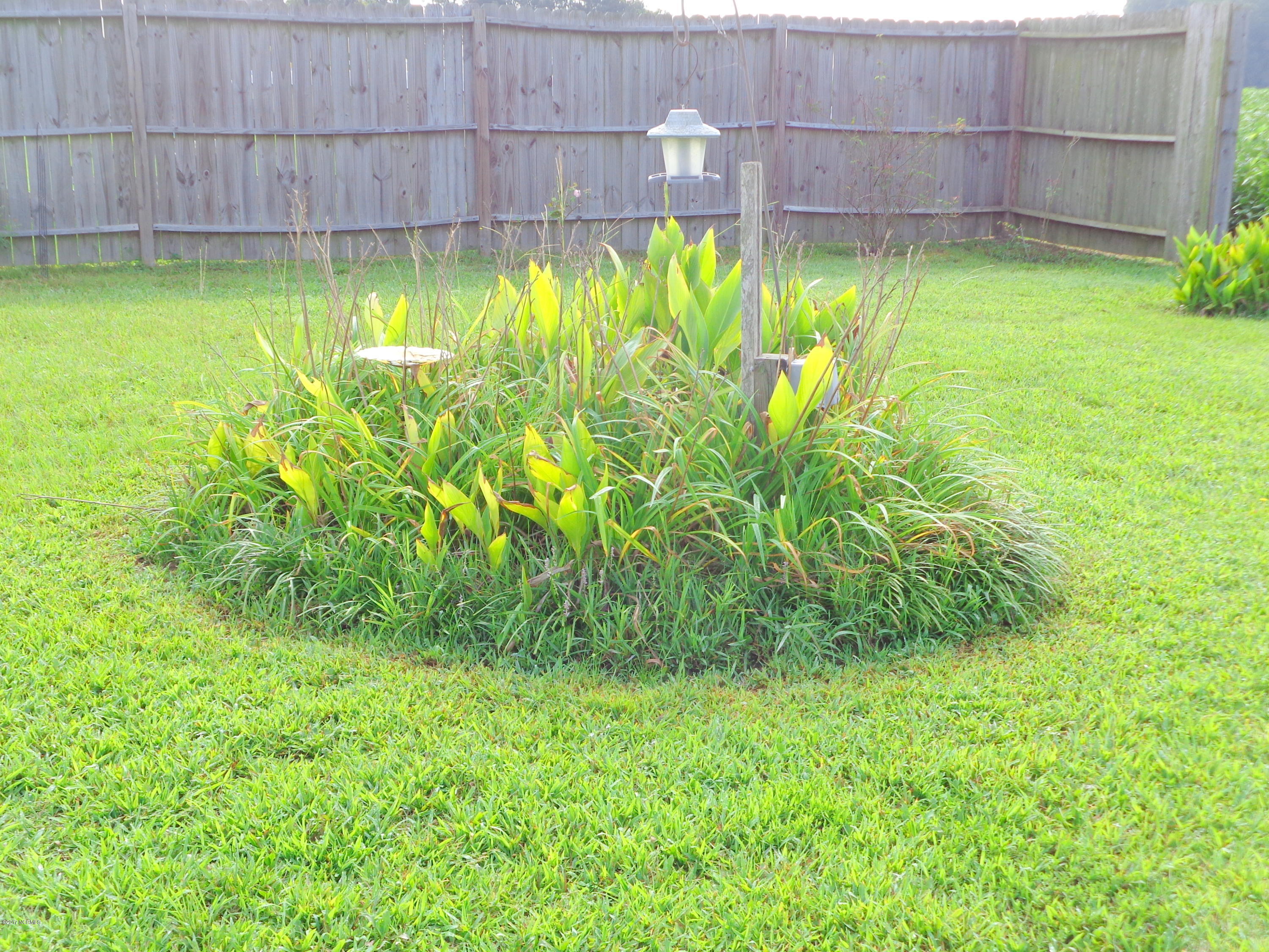 8467 Stantonsburg Road Farmville, NC 27828 - Photo 7 of 28 DSC04742