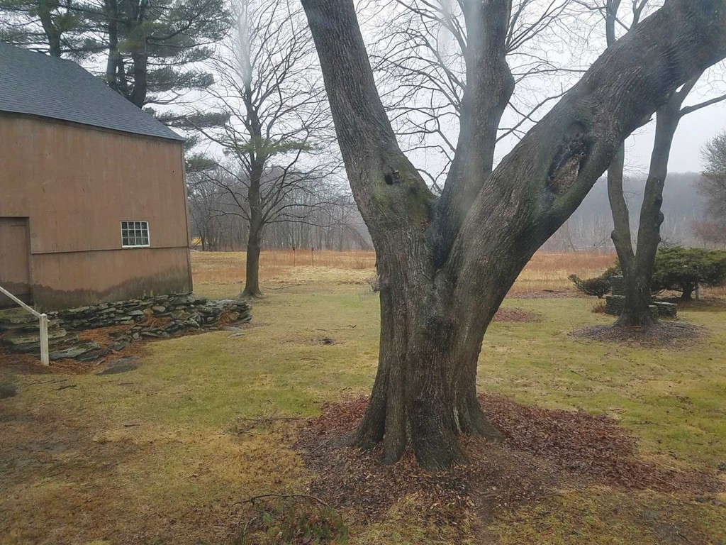 530 Massasoit Road Worcester, MA 01604 - Photo 28 of 29 Gallery Image 28