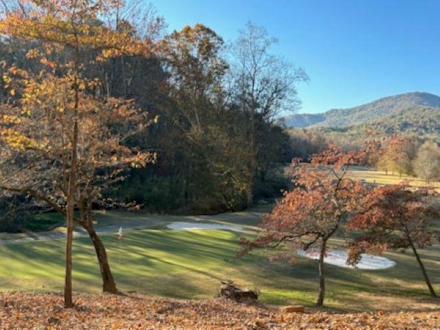 154 Broken Bow Run Pickens, SC 29671 - Photo 10 of 50